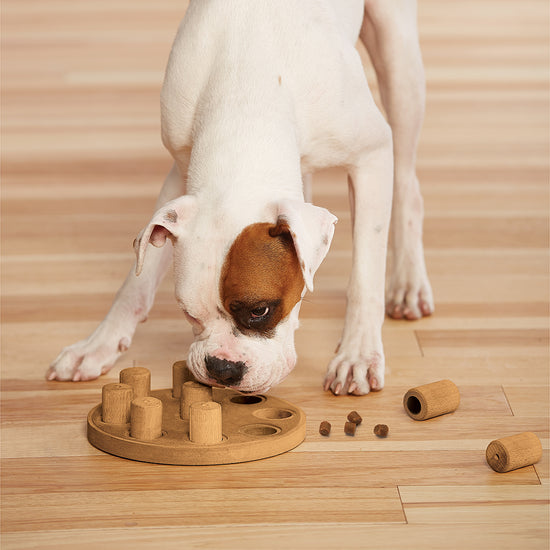 Nina Ottosson Dog Smart Wooden Composite