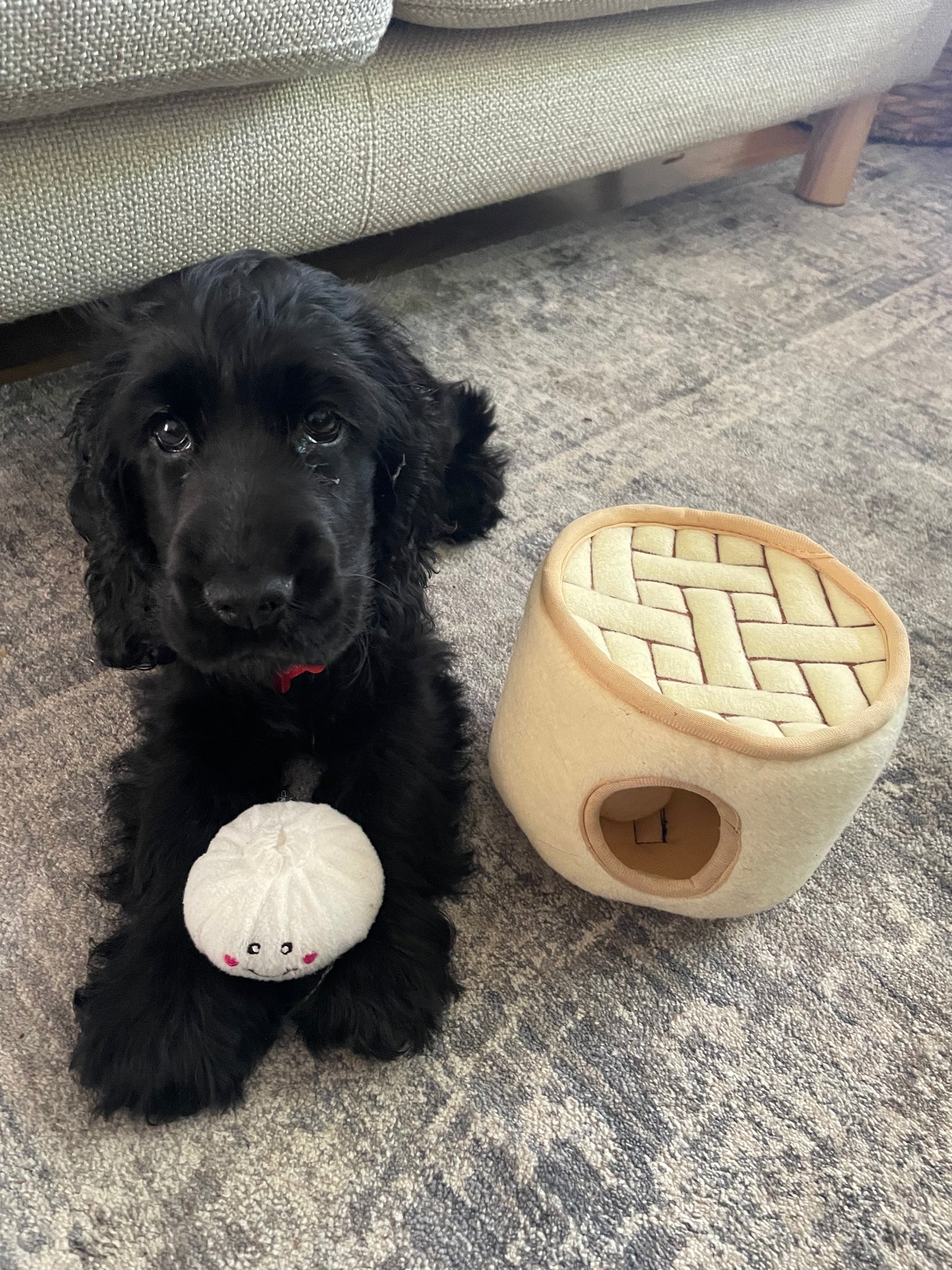 Zippy Burrow - Soup Dumplings  Dog Toy  by Zippy Paws