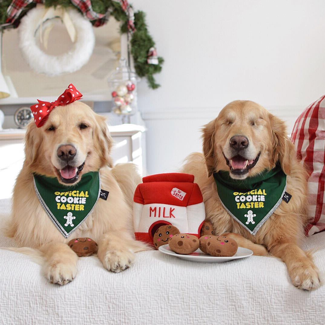 Zippy Paws Christmas Burrow - Santa's Milk and Cookies