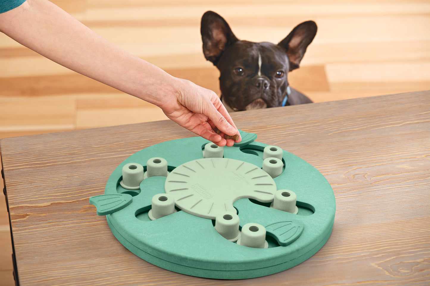 Nina Ottosson by Outward Hound Dog Worker Green Interactive Treat Puzzle  Dog Toy